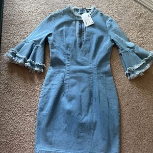 NWT Banjul Denim Ruffle Dress